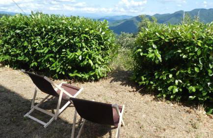 Non Solo 5Terre - Foto 15