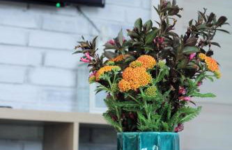 PIZUNY Dom pod dębem z balią na wyłączność - Foto 53