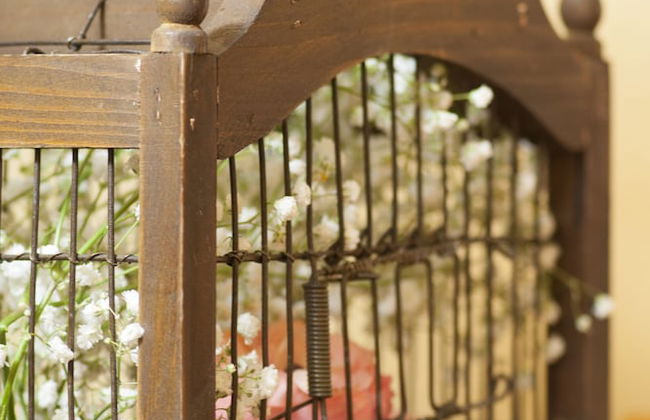 Croce di Bibbiano - Photo 56