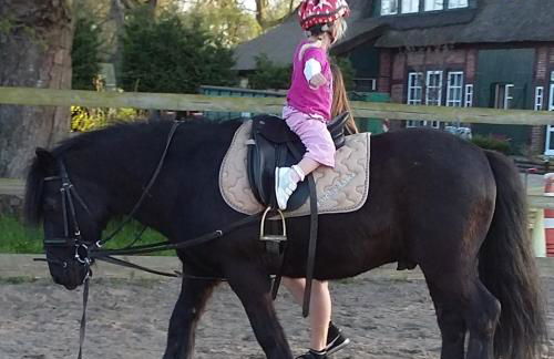 Krügerhof Lübbersdorf - Foto 11