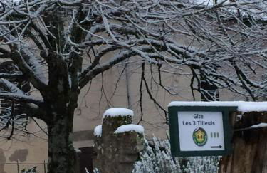 Les 3 tilleuls - Foto 33