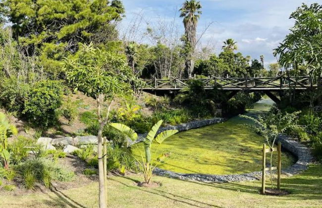 101 Nine palms - Foto 23