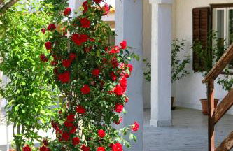 Apartments by the sea Kustici, Pag - 4104 - Foto 6