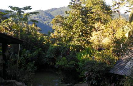 Ouro Grosso Chales - Foto 10