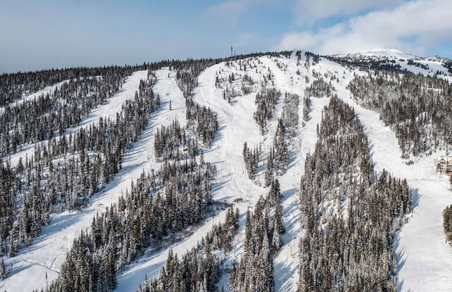 Southpoint 25 Two Bdrm Ski In Out HotTub - Photo 31