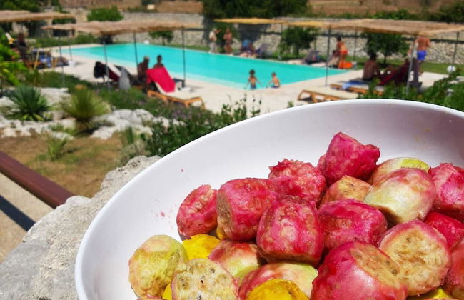 Masseria San Cosimo - Photo 15