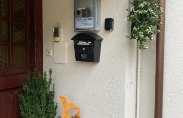 Gemütliche Ferienwohnung in Sankt Blasien - Photo 37