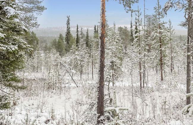 Teppolan rinne - Foto 29