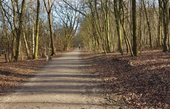 Holiday Apartment Haus Finisberg - Foto 16