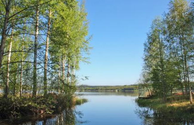 Metsäpirtti - Foto 21