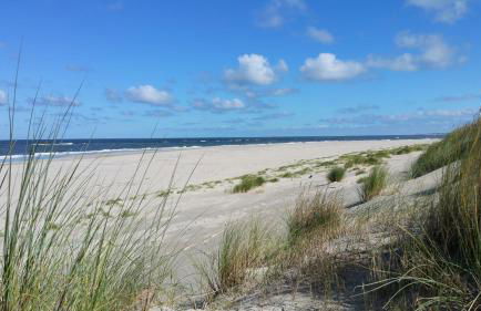 Pension Gästehaus Elfriede Baltrum - Foto 27