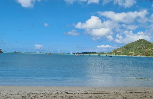 Wild Lotus Villa - Waterfront on Jolly Harbour - Photo 30