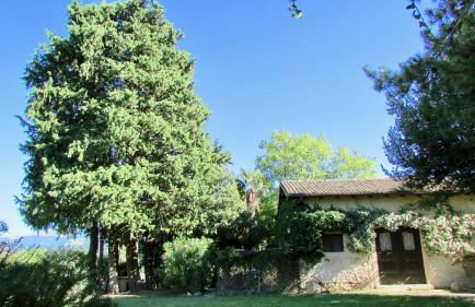 Agriturismo "Borgo Madonna degli Angeli" - charming cottages in the gardens ! - Foto 19