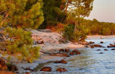 Maison paisible avec jardin - proche du lac de Sanguinet - Foto 27