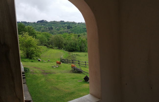 la debbia ranch - Foto 23