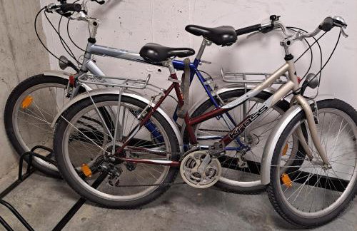 Bike&Ski Apartament Jezioro Czorsztyńskie, Stylchyn 90 - Photo 29