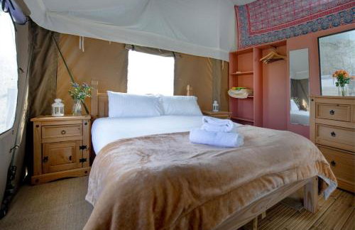 Linnet - Sweffling Hall - Foto 10