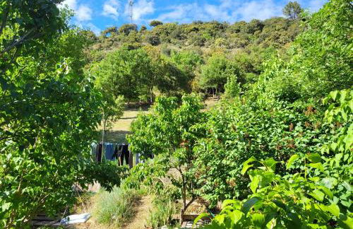 Maison au cœur du Verdon 2 chambres et terrasse - Foto 13