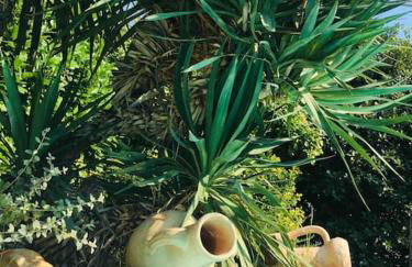 villa entre st rémy de provence et avignon - Foto 30