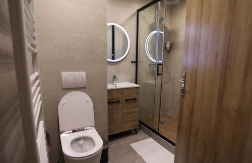 Spa Appartement Jacuzzi Privé Strasbourg - Foto 14