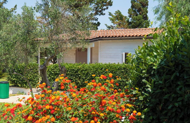 AGRITURISMO SCALELLE - Foto 27