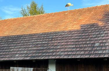 Śpimy u Dziadków - APARTAMENTY BIESZCZADY - Foto 7