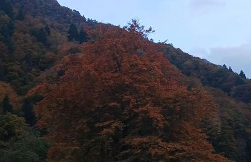 Meri per sempre - Foto 29