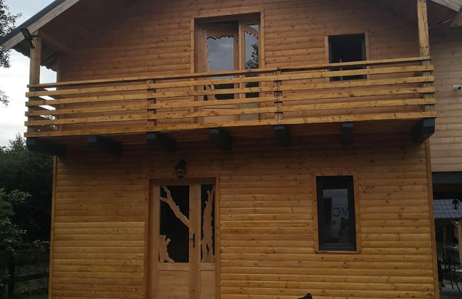 ART House Transylvania Sibiu - Foto 14