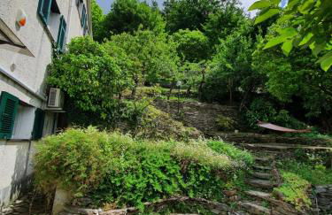 Il Giardino di Piero - LT-0029 - Foto 76