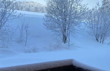 Pied des Pistes, 2 pièces, 6pers, Piscine et Sauna - Foto 23