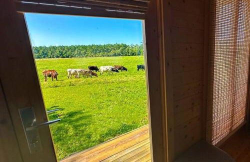 Tranquil Modern Farm Cabin - Foto 31