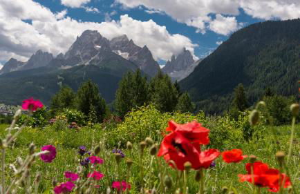 Im Wiesengrund Apartments - Foto 12