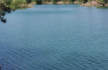 Waldbungalow mit WLAN und Terrasse in Seenähe-Hund willkommen - Foto 20