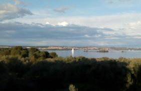 Grand Vista - Photo 14