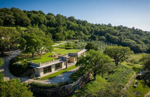 Sasseta Alta - Foto 55