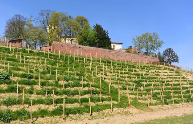 Castello di Cortanze - Foto 42