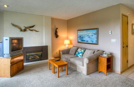 The Grey Gull - Foto 40