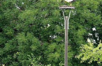 Ferienhaus am Gurkenradweg - Foto 10