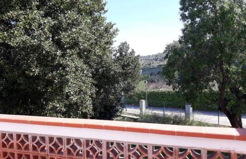 Alt Penedes, terra de vinya, sol, aigua i muntanya - Foto 21