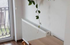 Agroturystyka Wielkie Leźno - Foto 74