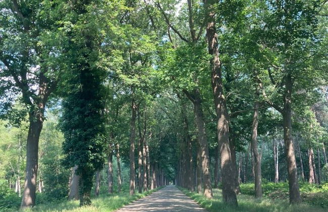 Apartment in Wortel Hoogstraten - Foto 33