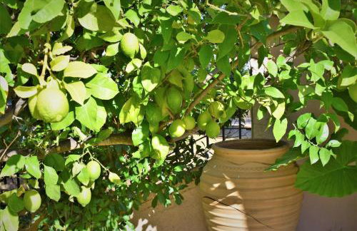 Apanemi Villa-Private Pool - Foto 54