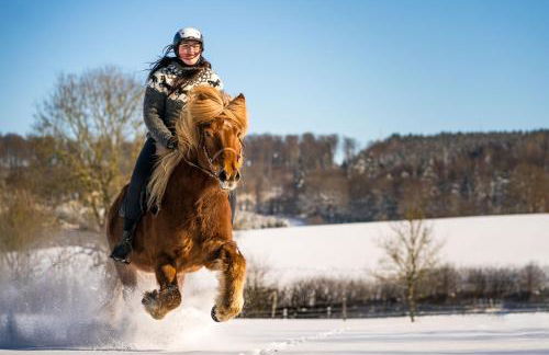 Ferienhof Homann Sauerland - Foto 27