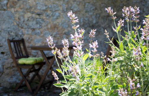 Agriturismo Novelleto - Foto 95