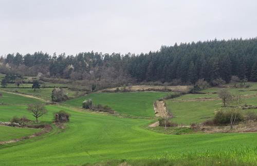 Maison Les Sauvages Blassac 8-10 personnes - Foto 45