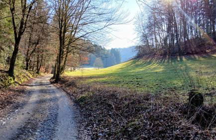 Bullau-bü - Appartment im Grünen - Foto 13