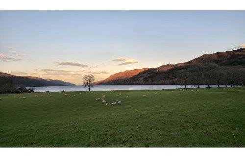 The Old Stables - Foto 21