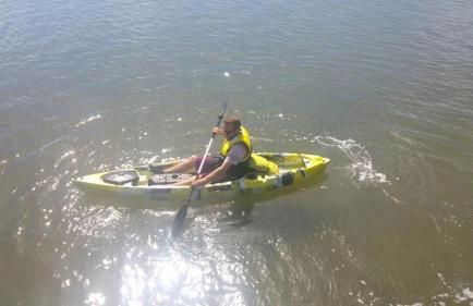 WHAT a fish - Foto 23