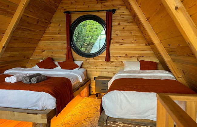 Arvilla Dağ Evleri - Foto 5