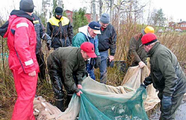 2 bedroom House in Sonkajärvi with sauna - Photo 15